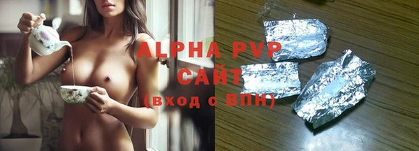 эйфоретик Бикин