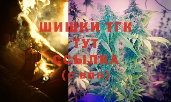PSILOCYBIN Билибино