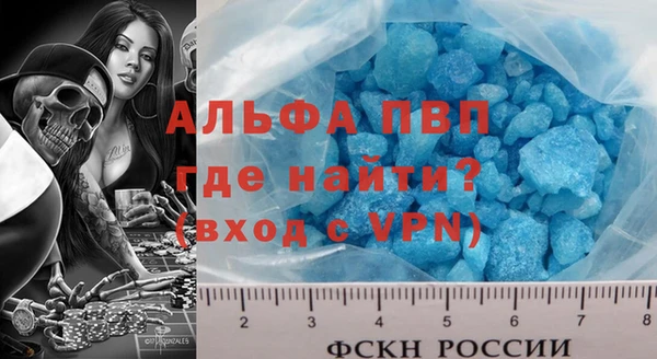 эйфоретик Бикин