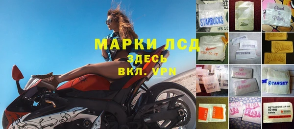 эйфоретик Бикин