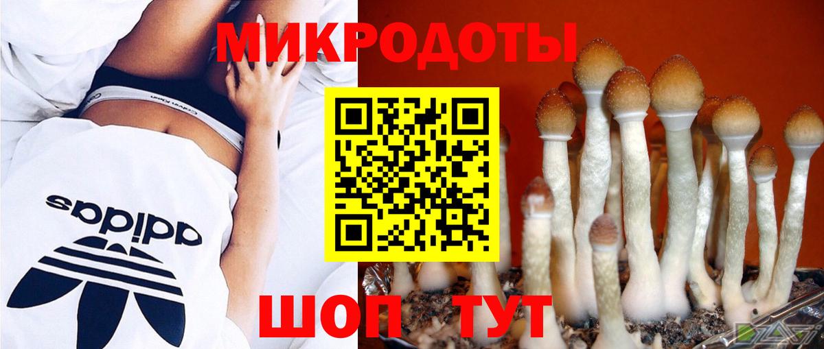 Псилоцибиновые грибы прущие грибы  Вход с VPN  Усолье-Сибирское 